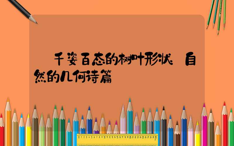  千姿百态的树叶形状：自然的几何诗篇